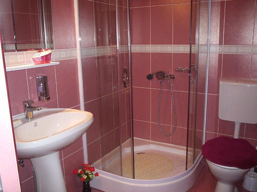 Pension Raluca Sinaia Room photo
